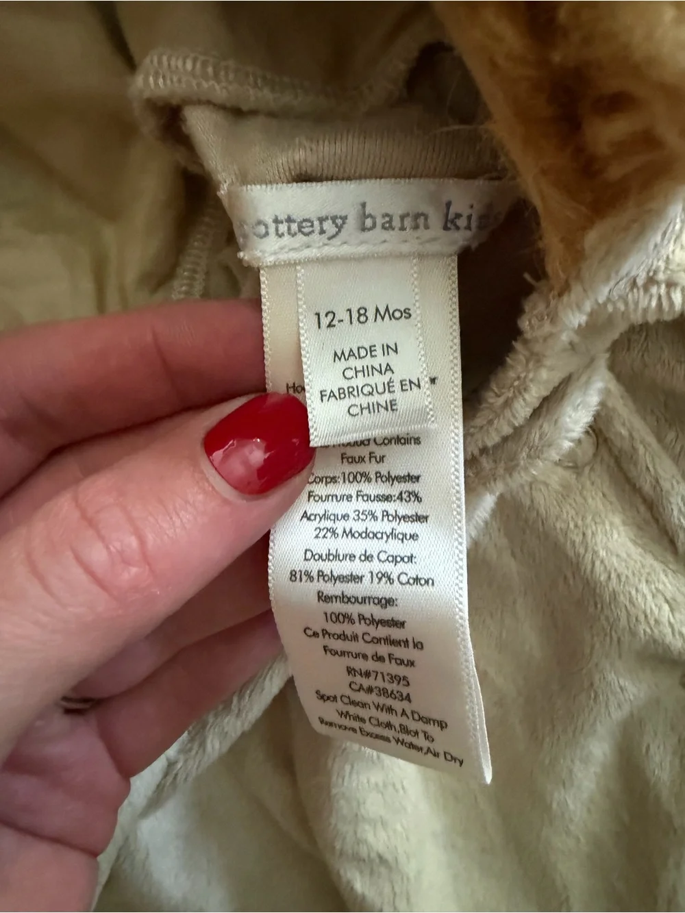 Pottery Barn Lion Halloween Costume